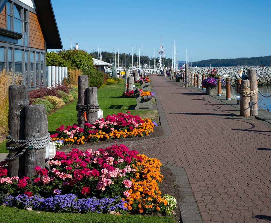 Events & Entertainment Hubs